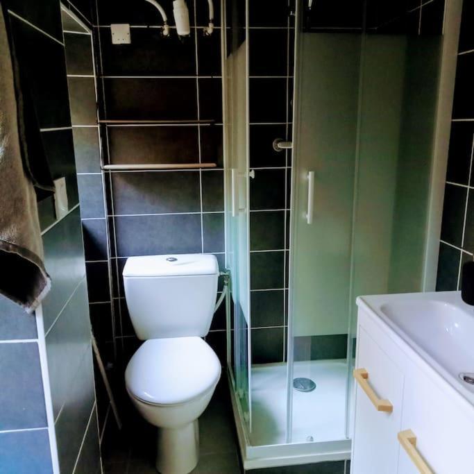 Le Cosy Chaleureux Appartement Saint-Etienne  Exteriör bild